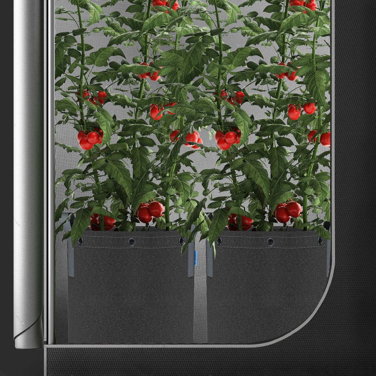 Heavy duty fabric Pots 5 pack (Multiple Sizes)