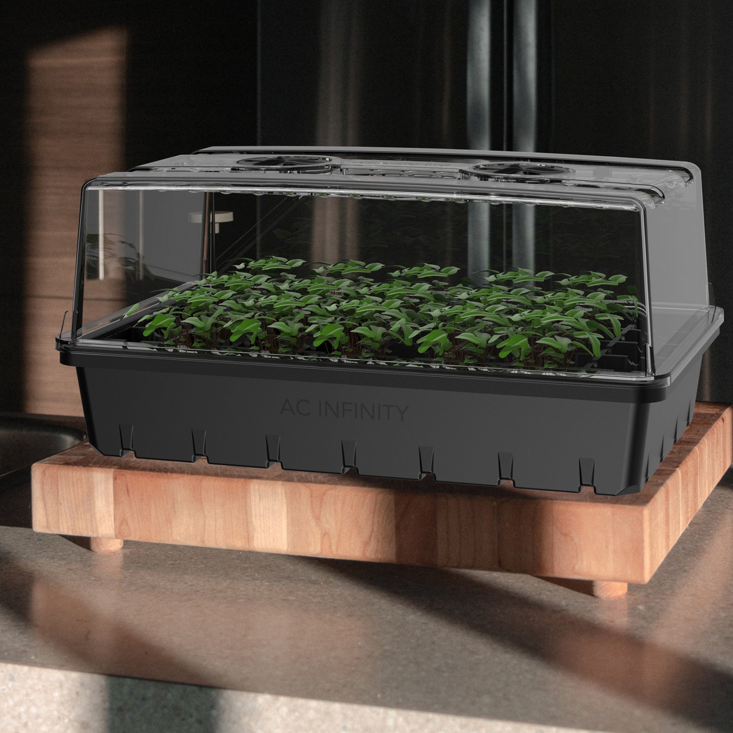 HUMIDITY DOME, PROPAGATION KIT WITH HEIGHT EXTENSION, 5X8 CELL TRAY