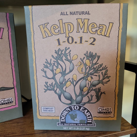 Kelp meal