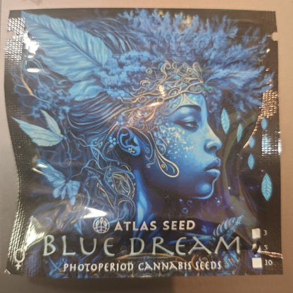 Blue Dream 5 seeds