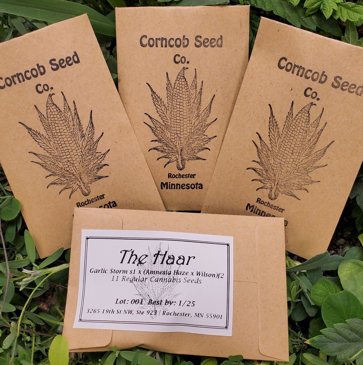 Corncob Seed Co  -  The Haar 11 Seed Pack
