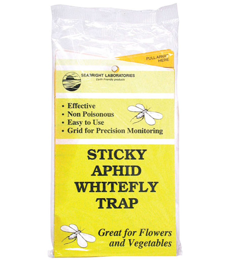 Yellow Sticky Traps, 5-Pack