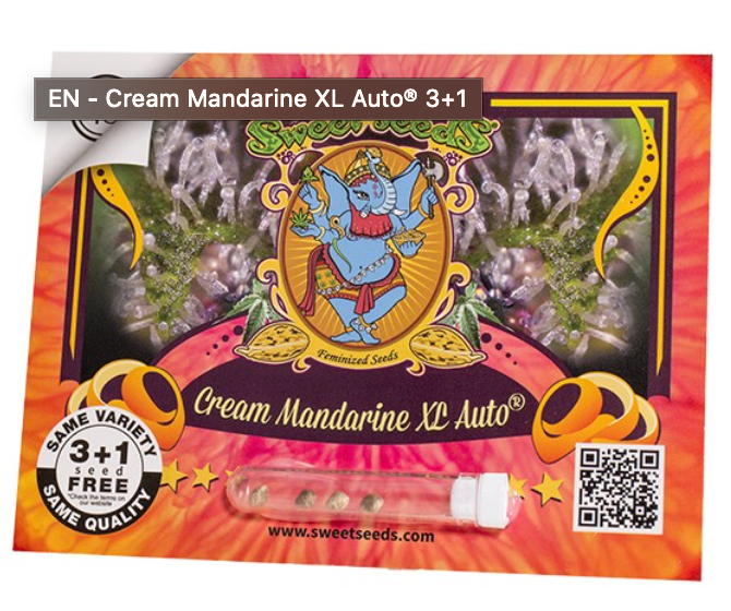 Sweet Seeds Cream Mandarine XL Auto® 3+1 Pack