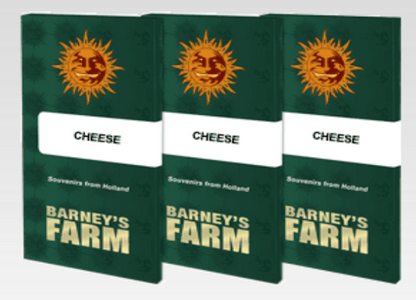 Barneys Farm Cheese Seeds