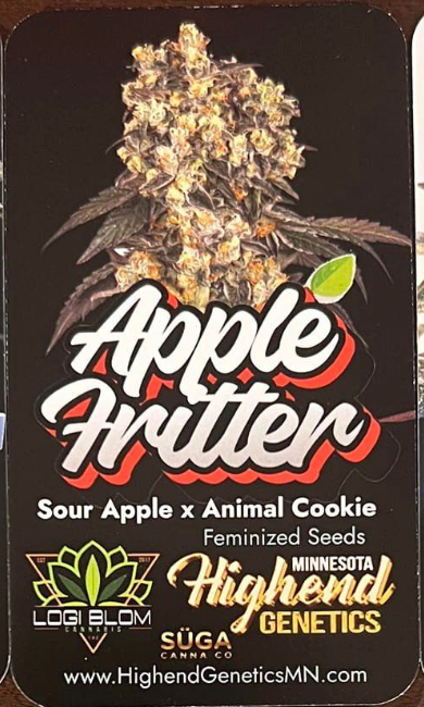 High End Genetics  - Apple Fritter (Sour Apple x Animal Cookie)
