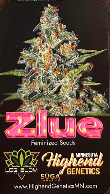 High End Genetics Zlue (Gorilla Glu4 x Zkittles) 3 pack