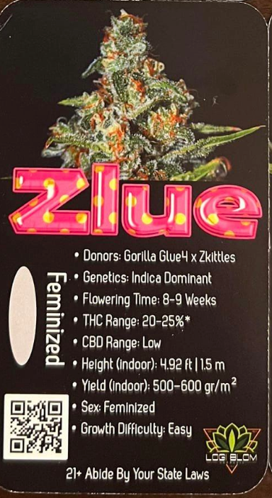 High End Genetics Zlue (Gorilla Glu4 x Zkittles) 3 pack