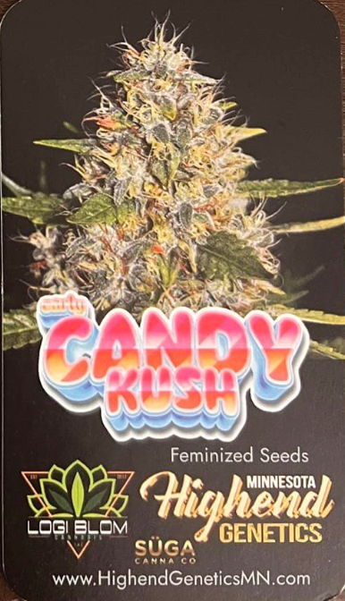 High End Genetics Candy Kush (Lavender x Power Plant) 3 pack