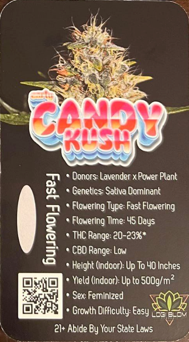 High End Genetics Candy Kush (Lavender x Power Plant) 3 pack