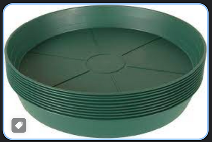 Green Premium Saucer Multiple sizes