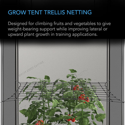 GROW TENT TRELLIS NETTING, FLEXIBLE ELASTIC CORDS, 2x2' (Multiple Sizes)